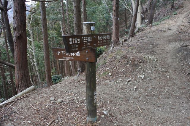 小下沢林道との分岐点です