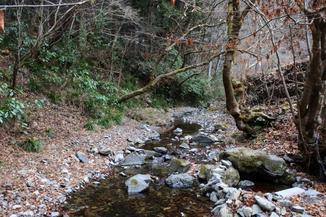 川沿いの登山道