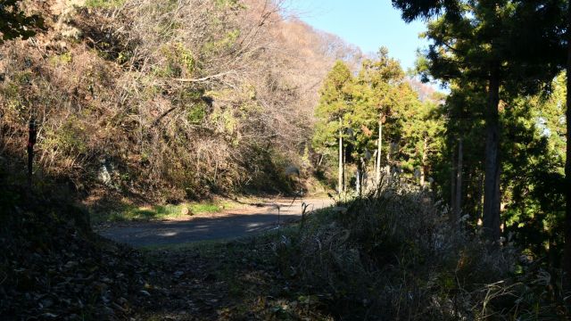 登山道から林道へ