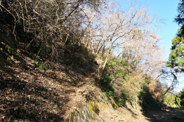 改めて登山道に入ります