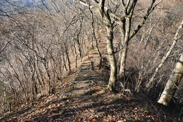 仏果山目指して出発