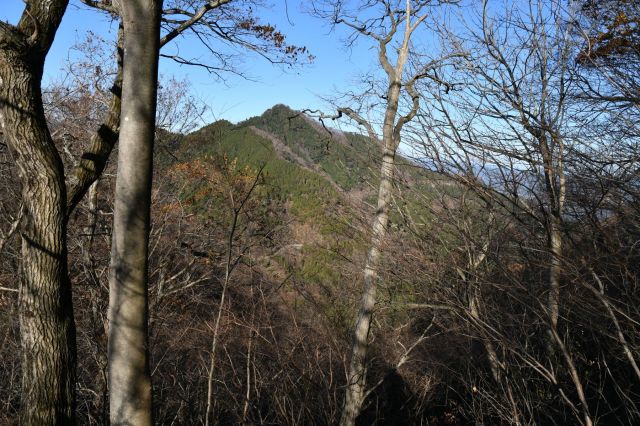 目的地の仏果山です