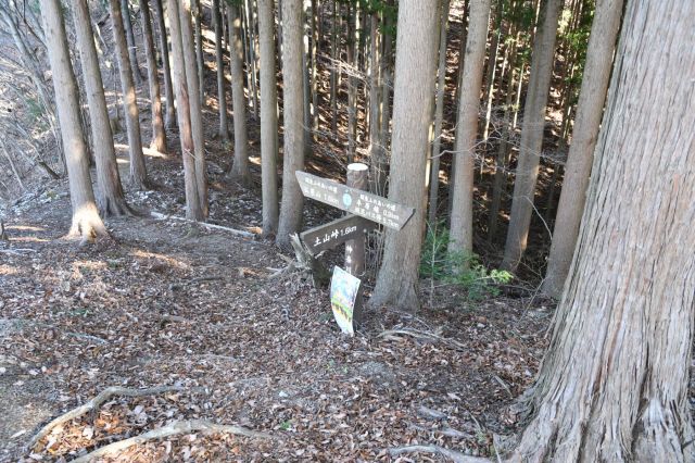 土山峠からのコースとの合流点