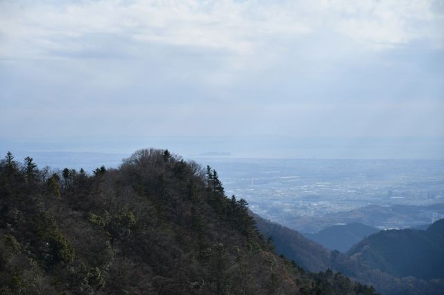 展望台から相模湾