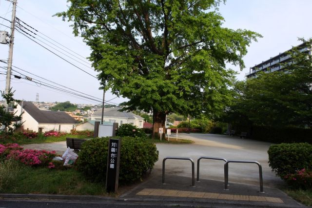 対鴎台公園を過ぎる