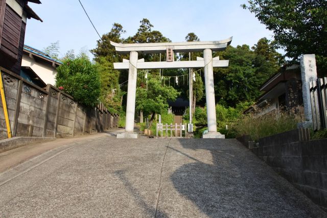 鳥居少し上った先