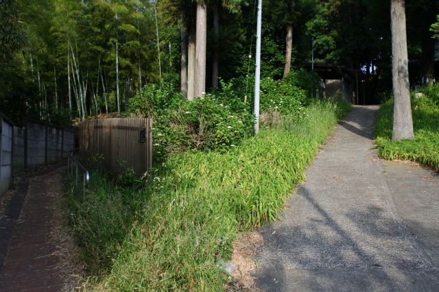 神社の南側にある道