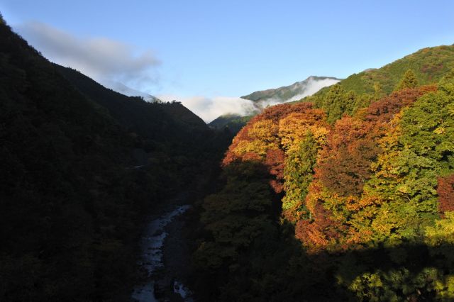 多摩川