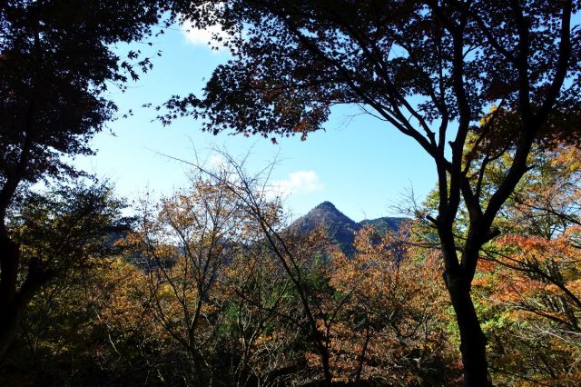 山頂が見えます