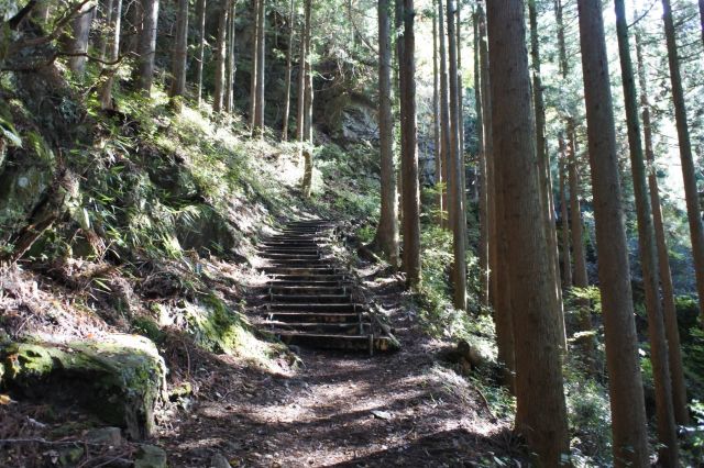 日の出山を目指す