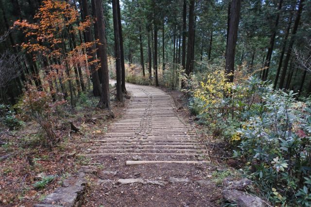 登りとは別のルートで下ります