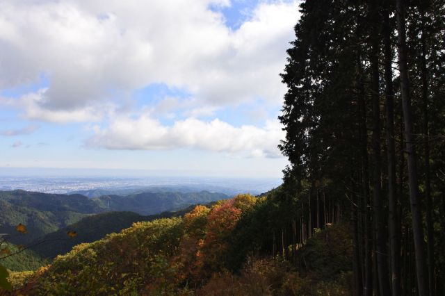 東側がまた開けた