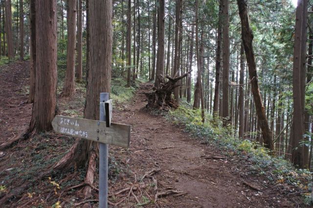 あじさい山