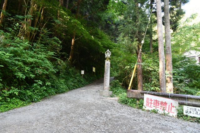 登山道