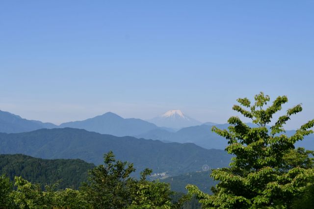 富士山