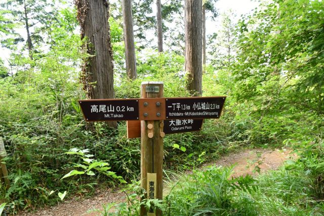 大垂水峠との分岐