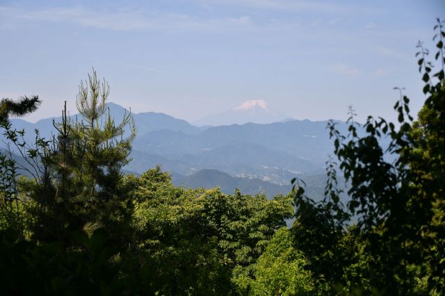 富士山はバッチリ