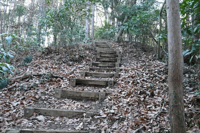 登ったり降りたり