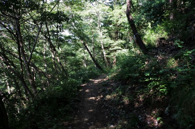 登山道へ