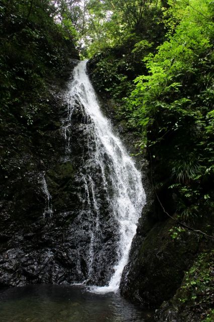 金剛の滝