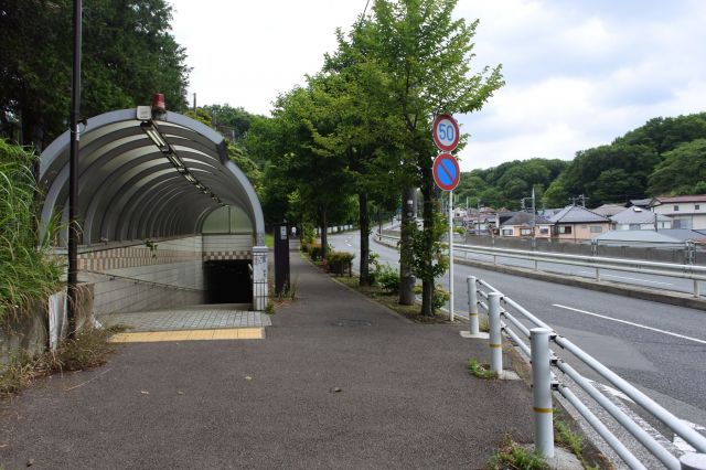 川崎街道を登る