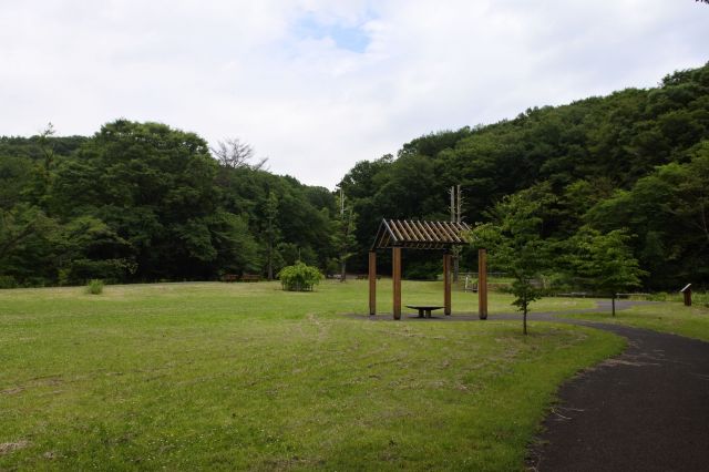  桜ヶ丘公園のトンボの池広場です