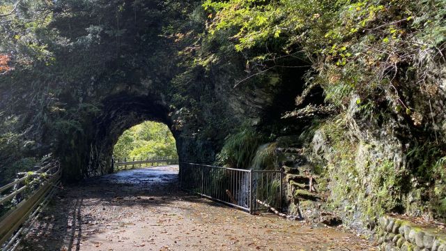 白丸トンネルを迂回すると