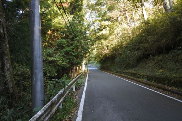 しばらく山道