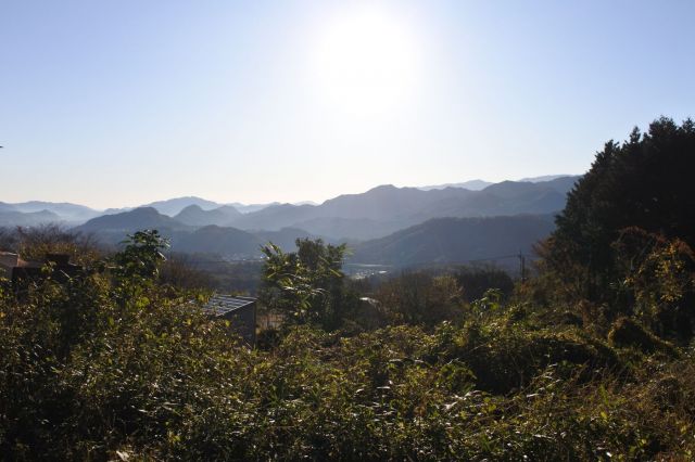 登山道近く