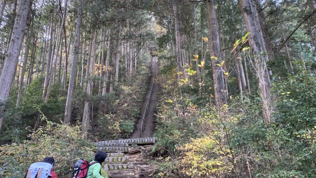 愛宕神社の階段