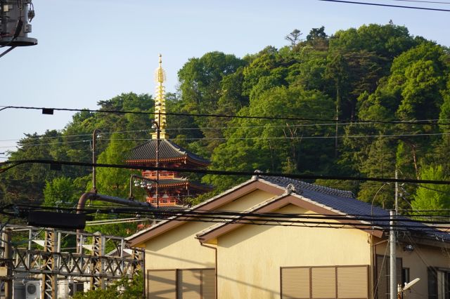 金剛寺