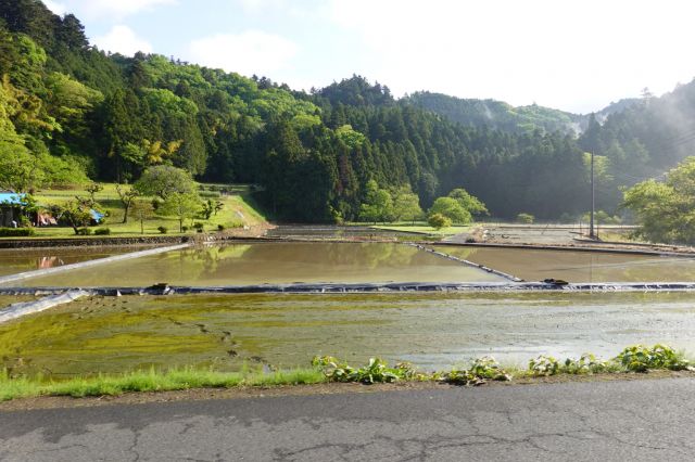 田園風景