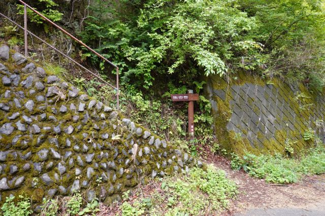 別の登山道