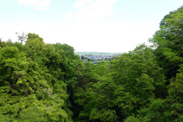 弁天橋からの景色