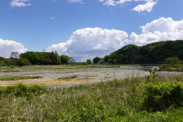 秋川右岸へ戻る