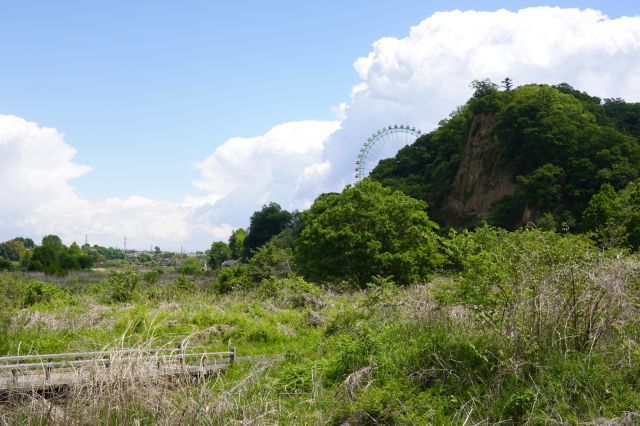 橋と岩と観覧車と雲