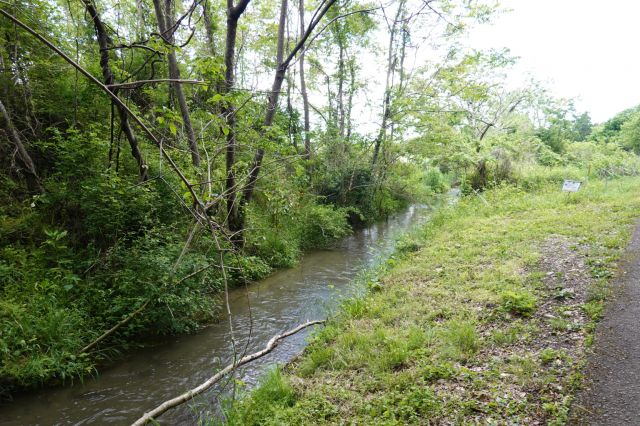 秋川の支流