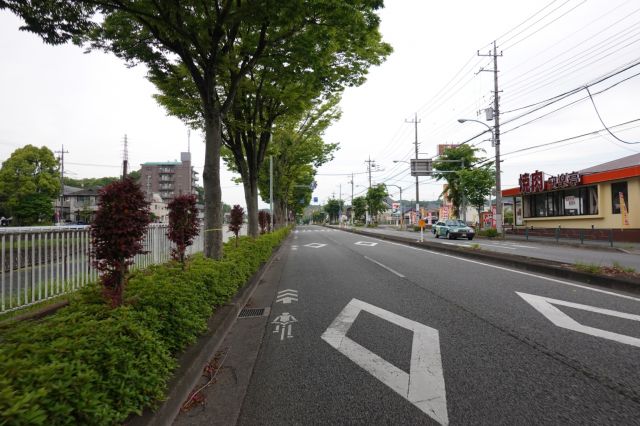 野猿街道を走る