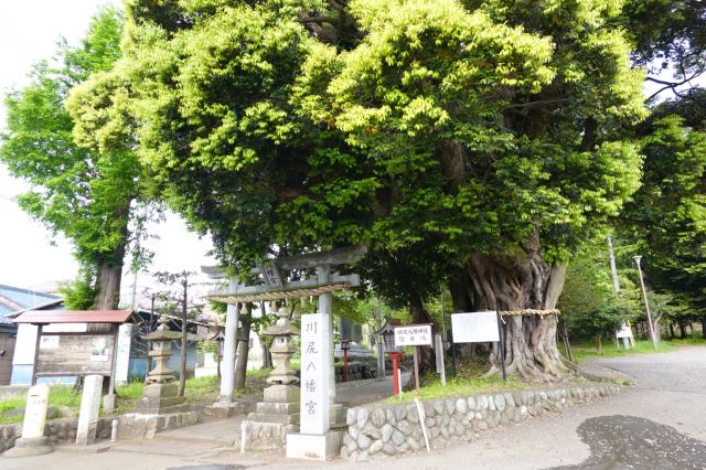 川尻八幡宮