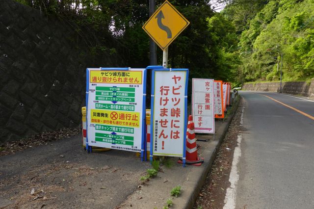 ヤツビ峠への道