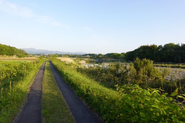 轍のみ舗装された道