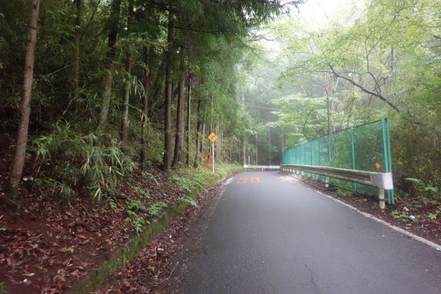 登山口を目指します