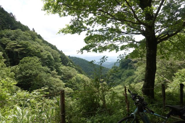 きつい上り坂を超えて見晴らし台へ