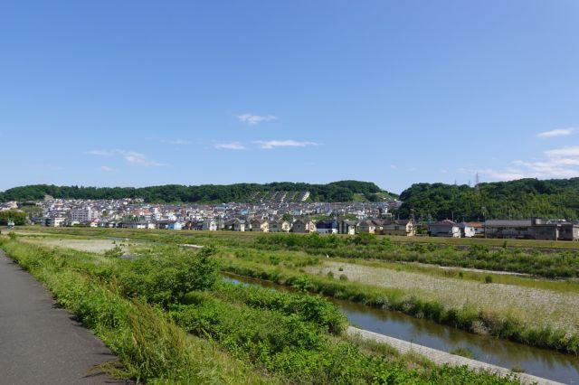 浅川左岸