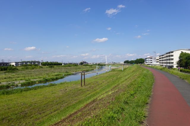 浅川右岸