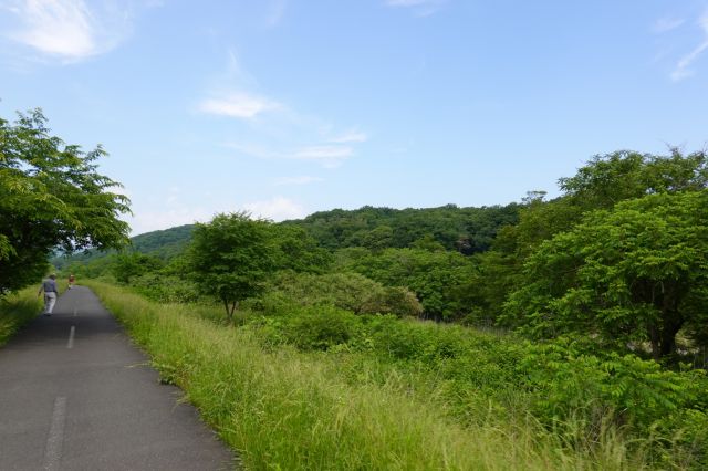 川の樹木が多い