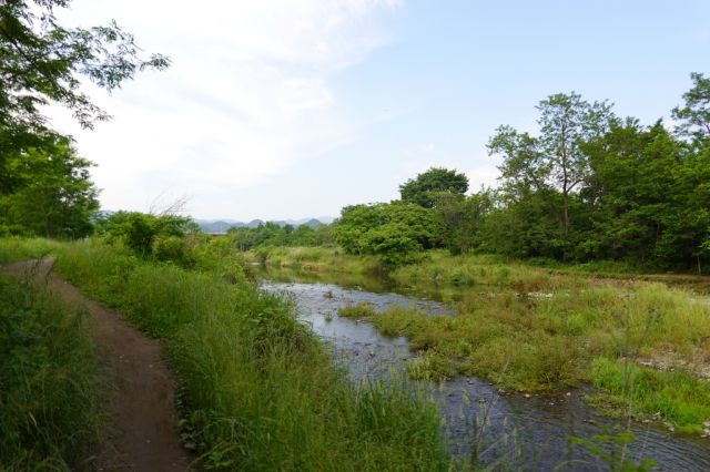 右岸も細い