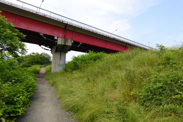 小津川合流地点