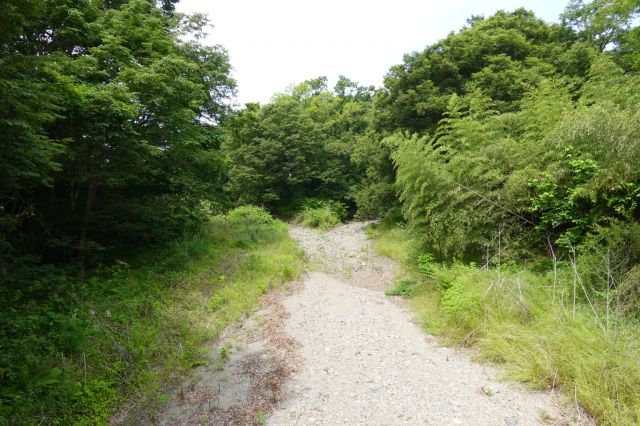 小津川合流地点から最初の橋