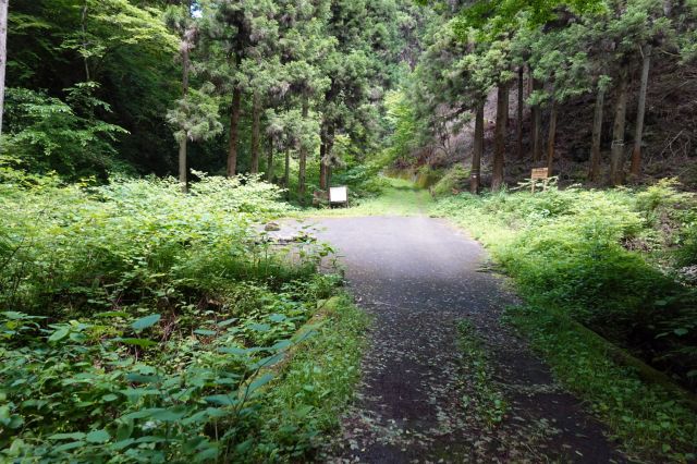 舗装道路終了